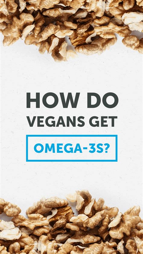 is vegan omega 3 bad for men|Omega.